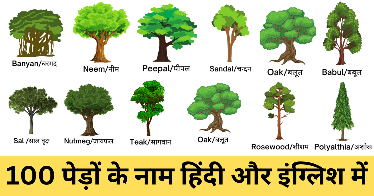 100 Trees Name in Hindi and English | 100 पेड़ों के नाम हिंदी और इंग्लिश में