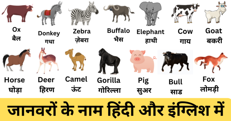 Animals Name In Hindi And English | जानवरों के नाम हिंदी और इंग्लिश में