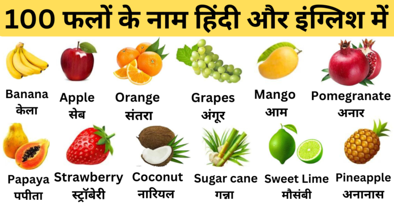 Fruits Name In Hindi And English