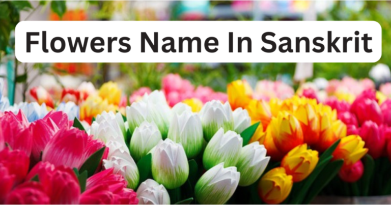 50+ फूलों के नाम संस्कृत में | Flowers Name in Sanskrit