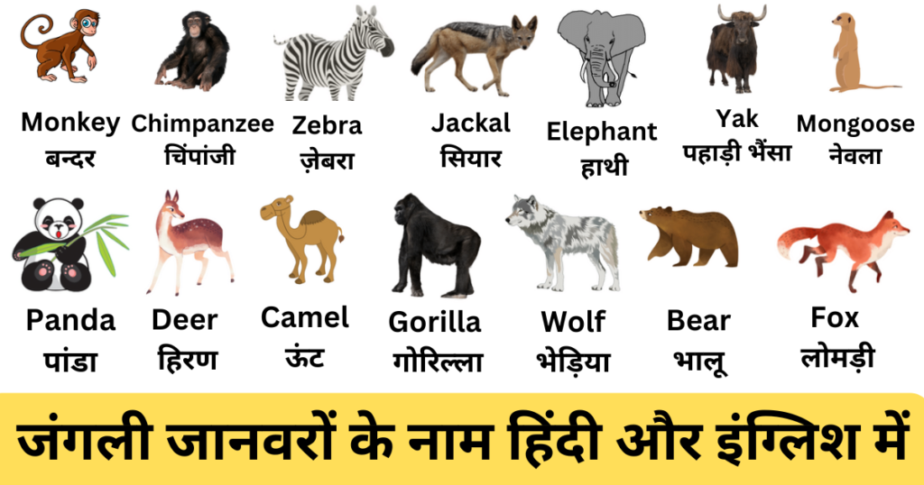 50+ Wild Animals Name in Hindi and English | जंगली जानवरों के नाम