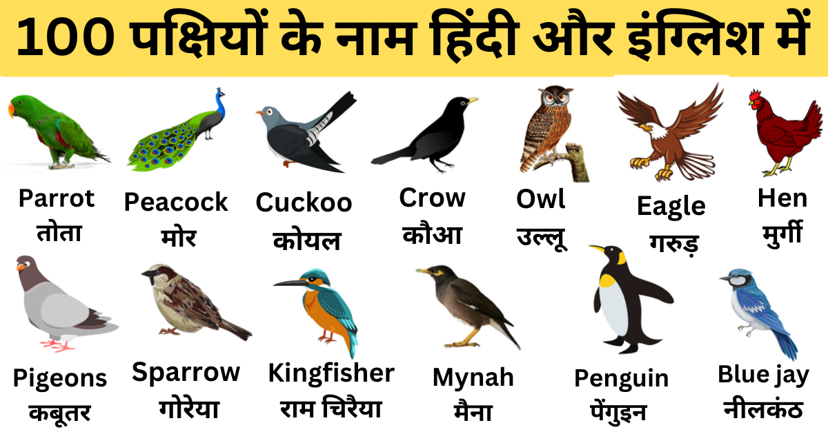 100 पक्षियों के नाम हिंदी और इंग्लिश में | Birds Name in Hindi and English